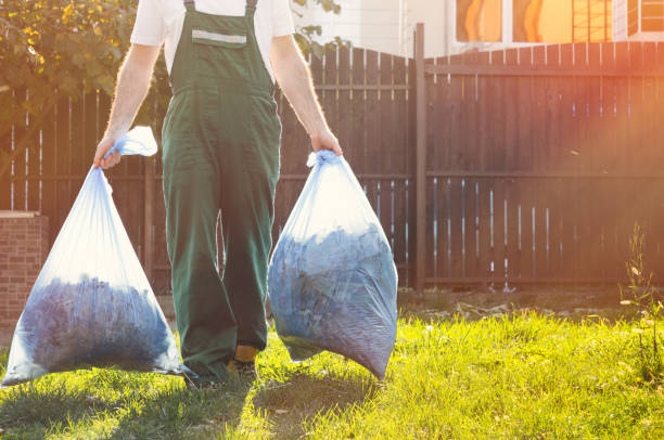 Best Construction Debris Removal  in Sheldon, IL